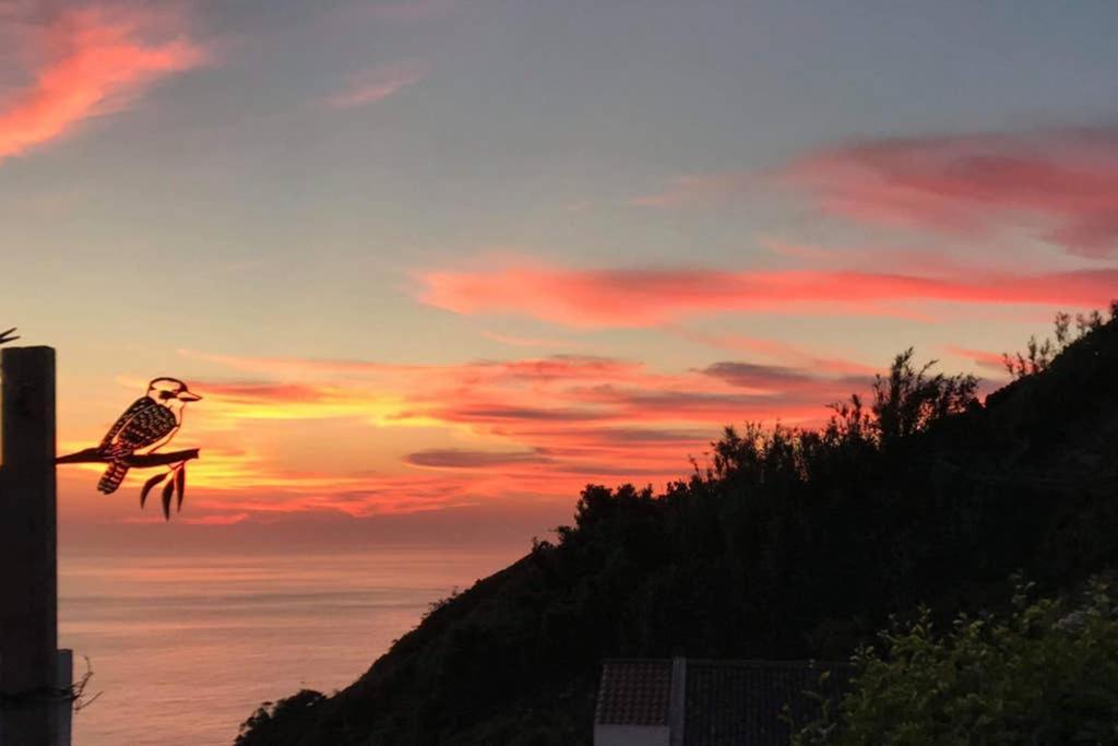 Sunset Nest Villa Ponta Delgada Dış mekan fotoğraf